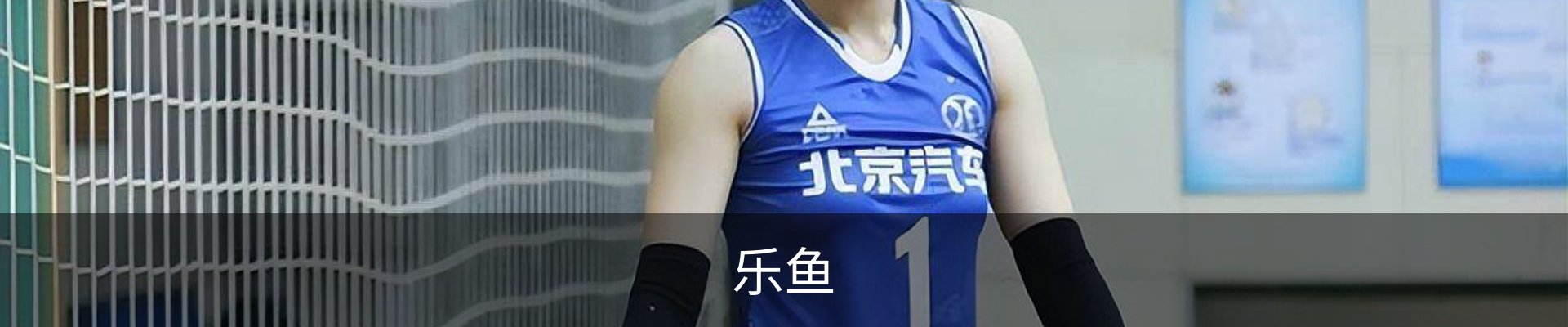 乐鱼